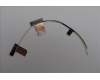 Lenovo ANTENNA KIT,Antenna,WWAN,AWAN pour Lenovo ThinkPad T14s Gen 6 (21M1/21M2)