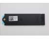 Lenovo BRACKET MPV60_SSD_2280_WPAD_BKT_ASSY pour Lenovo ThinkPad P16v G3 (21RT)