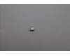 Lenovo BRACKET FRU BRACKET, CCD, BLANC COOK pour Lenovo ThinkPad L14 Gen 6 (21SF)