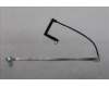 Lenovo CABLE camera cable C 83JH pour Lenovo LOQ 17IRX10 (83JH)