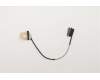 Lenovo CABLE FRU CABLE FP730 UHD Cable pour Lenovo ThinkPad P73 (20QR/20QS)