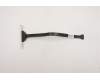 Lenovo CABLE Fru,LPT Cable 300mm with ESD_ HP pour Lenovo ThinkCentre M70s Gen 3 (11TB)