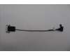 Lenovo CABLE Fru CBL 41PIN pour Lenovo ThinkCentre M90a Pro Gen 4 (12JM)