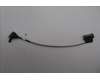 Lenovo CABLE Fru CBL 51PIN pour Lenovo ThinkCentre M90a Pro Gen 4 (12JM)