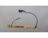 Lenovo CABLE FRU H-CONN SET 2WP M/B MIC pour Lenovo ThinkPad P16v G2 (21KX/21KY)