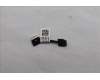 Lenovo CABLE FRU CABLE, WFC Abby pour Lenovo ThinkPad L13 2-in-1 G6 (21R8)