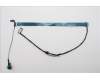 Lenovo CABLE MP6C0 M/B CAM RGB COAX+TFL pour Lenovo ThinkPad T16 G3 (21V5)