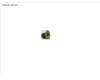 Fujitsu SCREW M2.5XL3 pour Fujitsu LifeBook A3511