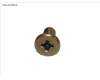 Fujitsu SCREW, M2.5XL5-1 pour Fujitsu Stylistic Q7310