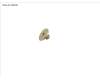 Fujitsu SCREW, M2.5XL2.5 pour Fujitsu LifeBook E5413A
