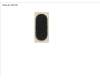 Fujitsu RUBBER FOOT, OVAL FLAT (1,1MM) pour Fujitsu LifeBook U729X