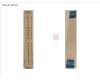 Fujitsu FPC, SUB BOARD TP BUTTONS pour Fujitsu Celsius H980