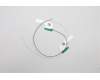 Lenovo ANTENNA Antenna H 82KN MAIN+AUX pour Lenovo IdeaPad 3 Chrome-14M836 (82KN)