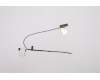 Lenovo ANTENNA WLAN Antenna MAIN+AUX<JTI> pour Lenovo ThinkPad P1 Gen 3 (20TH/20TJ)