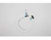 Lenovo ANTENNA FRU ANTENNA kits pour Lenovo IdeaPad 3 Chrome-14APO6 (82MY)