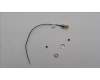 Lenovo ANTENNA Fru, Neo Tiny I-PEX TO SMA_LUX pour Lenovo ThinkCentre Neo 50q Gen 4 (12M3)