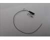 Lenovo ANTENNA Fru,Neo Studio main antenna_LUX pour Lenovo ThinkCentre Neo Ultra (12W1)