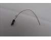 Lenovo ANTENNA Fru,Neo Studio aux antenna_LUX pour Lenovo ThinkCentre Neo Ultra (12W1)