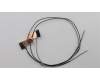Lenovo ANTENNA WLAN,ASM,Hightec pour Lenovo ThinkPad Yoga 260 (20FD/20FE)