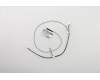Lenovo CABLE 23.8"WiFi antenna cable Modul pour Lenovo ThinkCentre M810Z (10NX/10NY/10Q0/10Q2)