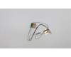 Lenovo ANTENNA AIO 310 615/300mm antenna pour Lenovo AIO IdeaCentre 310-20IAP (F0CL)
