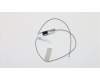 Lenovo ANTENNA Fru, Lx 8L SMB and IDC Front ANT pour Lenovo V520s (10NM/10NN)