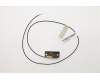Lenovo ANTENNA LX AMD 720 500mm Rear antenna pour Lenovo IdeaCentre 720-18APR (90HY)