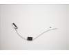 Lenovo ANTENNA LX C-tiny2 Rear antenna pour Lenovo IdeaCentre 620S-03IKL (90HC)