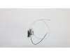 Lenovo ANTENNA Fru, AIO A710_V330 Antenna pour Lenovo V330-20ICB (10UK/10UL)