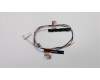 Lenovo ANTENNA FRU ANTENNA WLAN+WWAN Antenna pour Lenovo ThinkPad L490 (20Q5/20Q6)