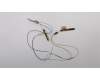 Lenovo FRU Antenna ASM AMPHENOL pour Lenovo ThinkPad T440s (20AQ/20AR)