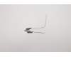 Lenovo ANTENNA FRU Gordon Antenna Main&Sub pour Lenovo 10e ChromeBook Tablet (82AQ)