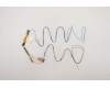 Lenovo ANTENNA FRU ANTENNA P17 ANTENNA WWAN pour Lenovo ThinkPad P17 Gen 1 (20SN/20SQ)