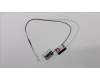 Lenovo CABLE ASSY Antenna Cable ,S4&S5 pour Lenovo ThinkCentre S400z (10K2/10HB)