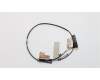 Lenovo ANTENNA WL Antenna,(L+R) pour Lenovo ThinkPad E470 (20H1/20H2)