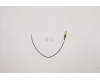 Lenovo ANTENNA 190mm SMA RF Cable_HB pour Lenovo ThinkCentre M70s Gen 3 (11TB)