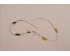 Lenovo ANTENNA FRU ANTENNA SPEED WLAN T16G1 pour Lenovo ThinkPad T16 Gen 2 (21HH/21HJ)