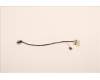 Lenovo CABLE ET M/B-TS EDP COAXIAL+TEFLON pour Lenovo ThinkPad P16 Gen 1 (21D6/21D7)