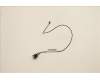 Lenovo CABLE Fru 475mm C2 SWITCH_TCO8.0 pour Lenovo ThinkCentre M75t Gen 2 (11RE)