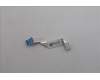 Lenovo CABLE FRU FFC 10P F P0.5 PAD=0.3 FPR/B pour Lenovo ThinkPad P16v G2 (21KX/21KY)