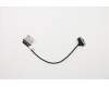 Lenovo CABLE FRU CABLE OLED EDP Cable pour Lenovo ThinkPad P53 (20QN/20QQ)