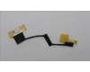 Lenovo CABLE EDP cable C 82XW pour Lenovo LOQ 16IRH8 (82XW)