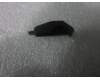 13GNWT10P100-1 Asus UL30A-1A HINGE CAP R