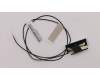 Lenovo CABLE Fru, 550mm M.2 front antenna pour Lenovo ThinkServer TS150
