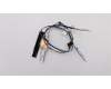 Lenovo ANTENNA FRU WL+WW Antenna Kit pour Lenovo ThinkPad L580 (20LW/20LX)