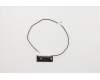 Lenovo ANTENNA Lx 15L Black Front antenna pour Lenovo IdeaCentre T540-15ICK Gaming (90LW)