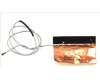 Acer ANTENNA.MAIN pour Acer Swift 3 (SF314-42)