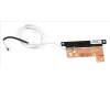 Acer ANTENNA.WLAN.AUX pour Acer Predator Helios 300 (PH317-55)