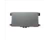 HP SPS-TOUCHPAD W14 pour HP ZBook Firefly 14 G8