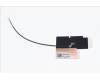 Acer ANTENNA.MAIN.WIFI pour Acer TravelMate P6 (TMP614RN-52)